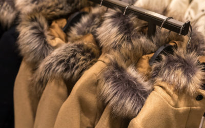 Importverbot für tierquälerisch erzeugte Pelzprodukte